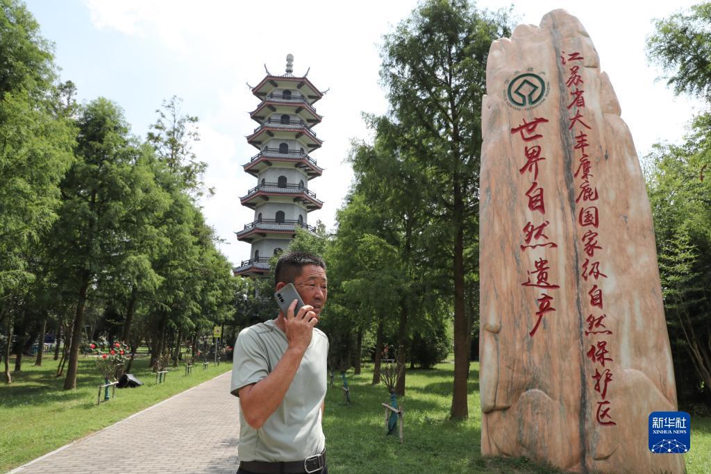 澳门威尔斯人网址